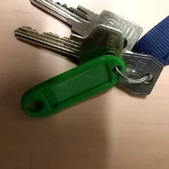 Keys, as reported by RET using iLost