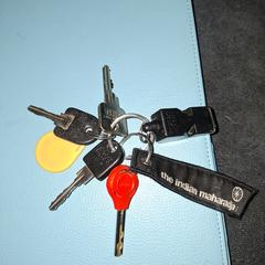 Sleutelbos, som rapporterats till iLost