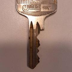 Llave, ha sido reportado por St. Antonius Ziekenhuis Woerden con iLost