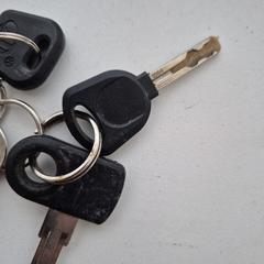 Sleutelbos, som rapporterats till iLost