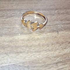 Gyűrű, amint azt Qbuzz DMG az iLost segítségével jelentette.