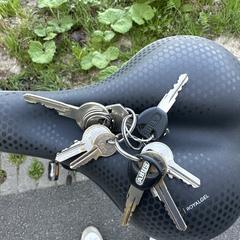 Bos sleutels, som rapportert til iLost