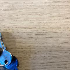 İLost kullanarak Poppodium 013 tarafından bildirildiği gibi Anahtarlık