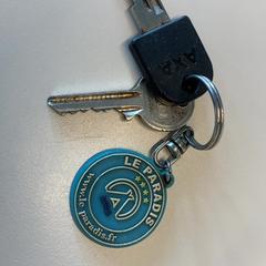 Keys, as reported by Gemeente Wijk bij Duurstede using iLost