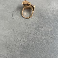 Anel, como reportado por Arriva Achterhoek-Rivierenland utilizando o iLost