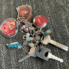 Sleutelbos, amint azt az iLostnak jelentették.