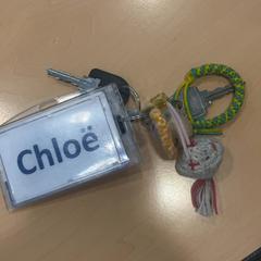 Giltza-giltza Naam chloë, gisa salatu by Jaarbeurs iLost erabiliz