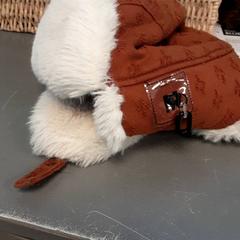 ビーニー がiLostで Diergaarde Blijdorp によって報告されました