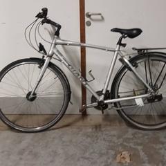 Férfi kerékpár Giant Zilver, amint azt Fietsdepot Hasselt az iLost segítségével jelentette.