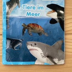 Livro para crianças, como reportado por hoop Kirche - Campus Bremen utilizando o iLost