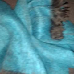 Sjaal, a été signalé par TivoliVredenburg utilisant iLost