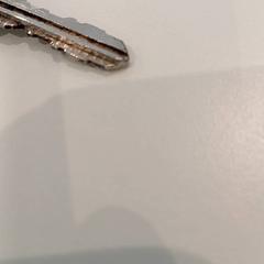 Clés, a été signalé par Gemeente Nijkerk utilisant iLost