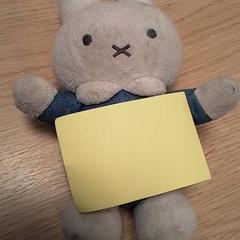 Giocattolo, come riportato da Qbuzz Fryslân utilizzando iLost