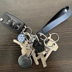 Sleutelbos, come riportato a iLost