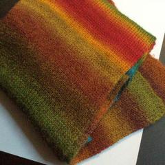 Shawl Wol regenboogkleuren, as reported by TivoliVredenburg using iLost
