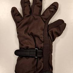 Handschuh, gemeldet von Vrije Universiteit Amsterdam über iLost