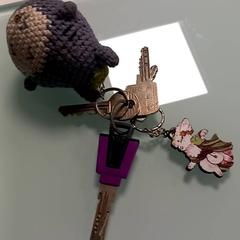 Kulcstartó, amint azt RRReis Veluwe Zuid - Ede az iLost segítségével jelentette.