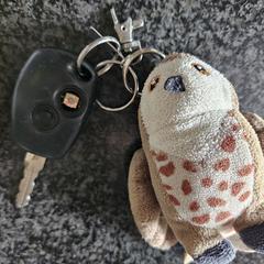 Autosleutels, as reported to iLost