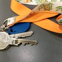 Keychain sleutep, as reported by Qbuzz GD Groningen HS using iLost