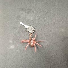 Klucz rowerowy, zgłoszono przez Qbuzz GD Groningen Peizerweg przy użyciu iLost