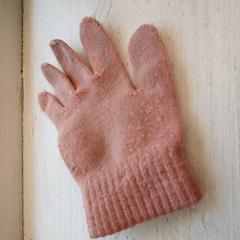 グローブ Roze がiLostで DierenPark Amersfoort によって報告されました