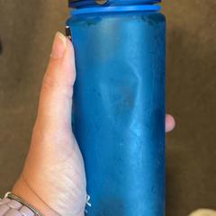 Bottle, as reported by Burgers' Zoo using iLost