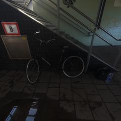 Bike omafiets zuilen ns, iLost에 보고됨