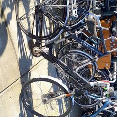 Damesfiets Altra Zwart, zoals gemeld door Stadswerk072 met iLost