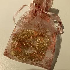 القلائد والقلادات Goudkleurig in zakje، كما تم الإبلاغ عنه بواسطة IKEA Groningen عبر iLost