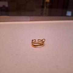 Ring Goudkleurig, zoals gemeld door Rijksmuseum van Oudheden met iLost