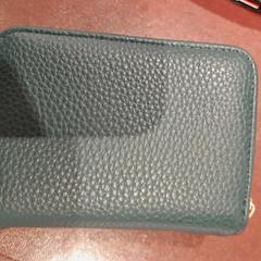 Titolare della carta Nom porteur : GAL***, come riportato da TCL utilizzando iLost