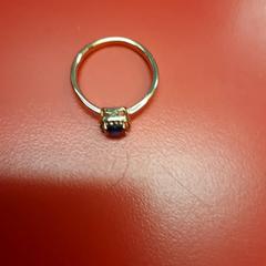 Anell, segons ha informat UvA REC mitjançant iLost