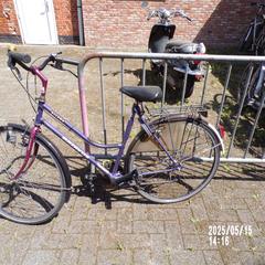 Fahrrad dames, Paars, Allure Batavus, gemeldet von Fietsdepot Leopoldsburg über iLost