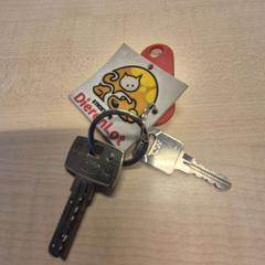 Chaveiro, segundo informou Haaglanden Medisch Centrum usando iLost