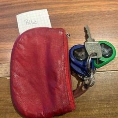 İLost kullanarak Gemeente Heemstede tarafından bildirildiği gibi Anahtarlık sleutes