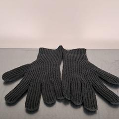 Hanske Grå, som rapportert av Keolis Lund ved bruk av iLost