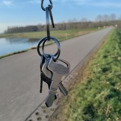 Sleutelbos, come riportato a iLost