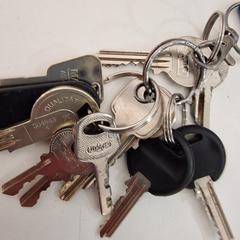 Sleutelbos, segons ha informat allGo Almere mitjançant iLost