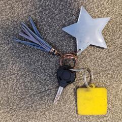 Sleutelbos, gisa salatu by Gemeente Noordwijk iLost erabiliz