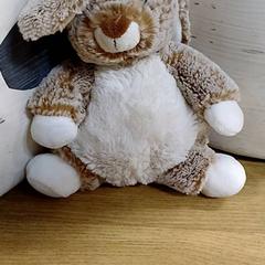 Teddybär, gemeldet von IKEA Mulhouse über iLost