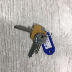 Sleutels, segons ha informat Hotel van der Valk Maastricht mitjançant iLost