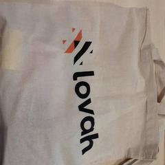 가방 Beige, iLost를 사용하여 LUMC에 보고됨