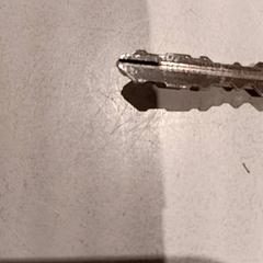 Bicycle key, as reported by De Efteling using iLost