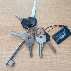 sleutel, sleutels, sleutelbos, segons s'ha informat a iLost