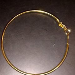 Oorbel, zoals gemeld door TivoliVredenburg met iLost