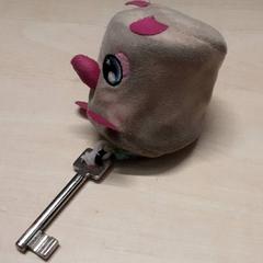 Klíč, jak nahlášeno Arriva Oost-Brabant pomocí iLost