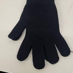 Rękawiczki, zgłoszono przez Transdev Gooi en Vechtstreek przy użyciu iLost