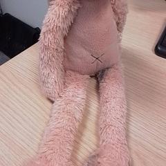Knuffel, as reported by Qbuzz Fryslân using iLost