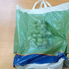 Väska Plastiek zak, rapporterat av Regio Limburg - Leuven med iLost