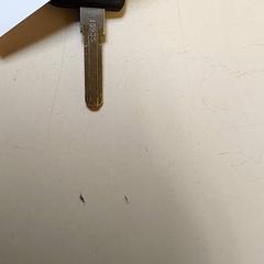 Kulcsok, amint azt Regio Antwerpen - Brussel az iLost segítségével jelentette.